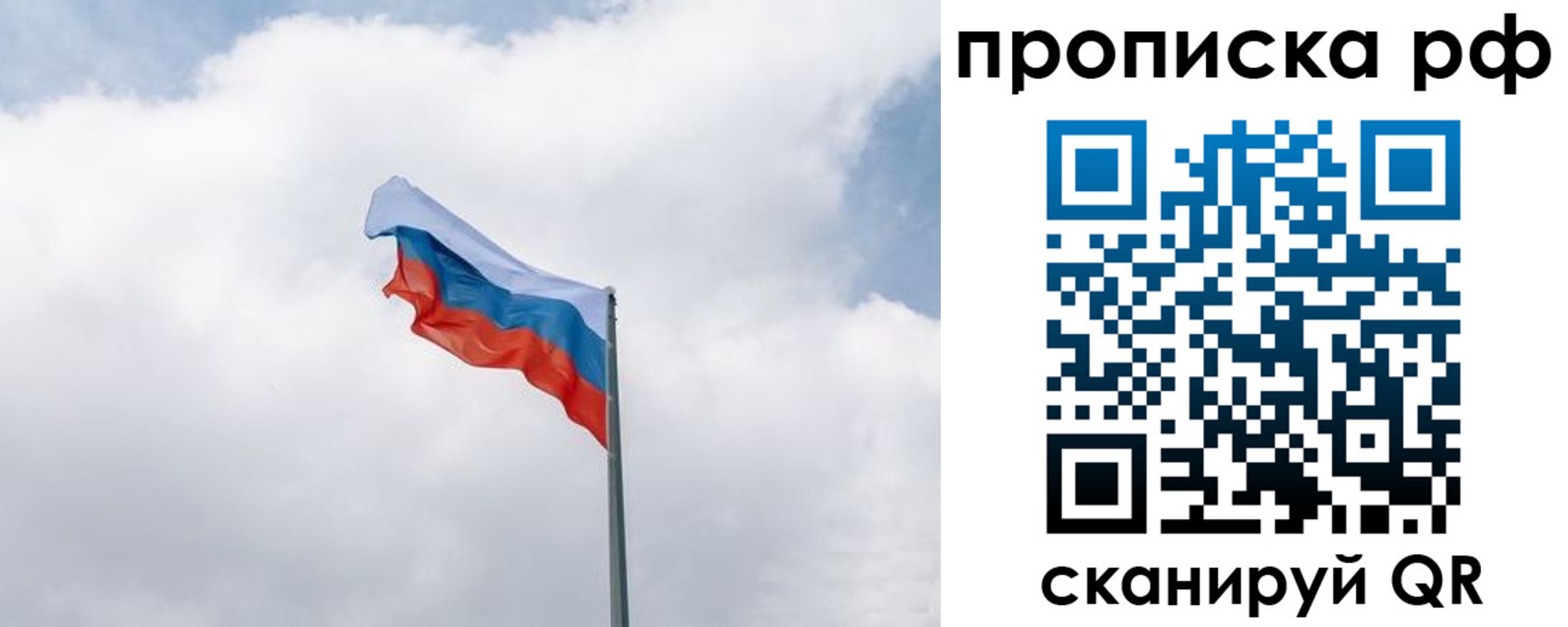 прописка гарантия в Коле